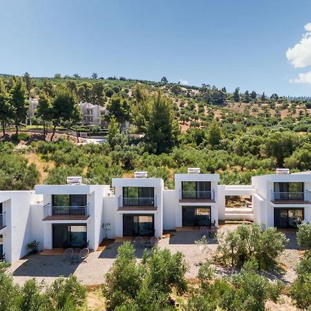 Olea Villas By Halu!, Cozy Villa In Nikiti Lagomandra Exteriér fotografie