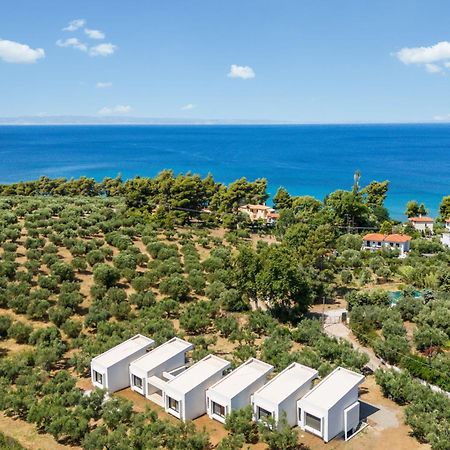Olea Villas By Halu!, Cozy Villa In Nikiti Lagomandra Exteriér fotografie