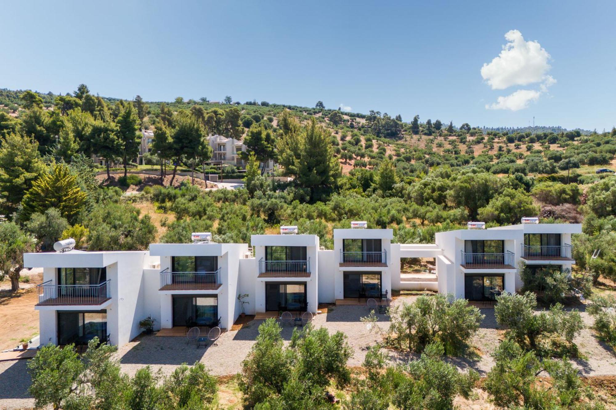 Olea Villas By Halu!, Cozy Villa In Nikiti Lagomandra Exteriér fotografie