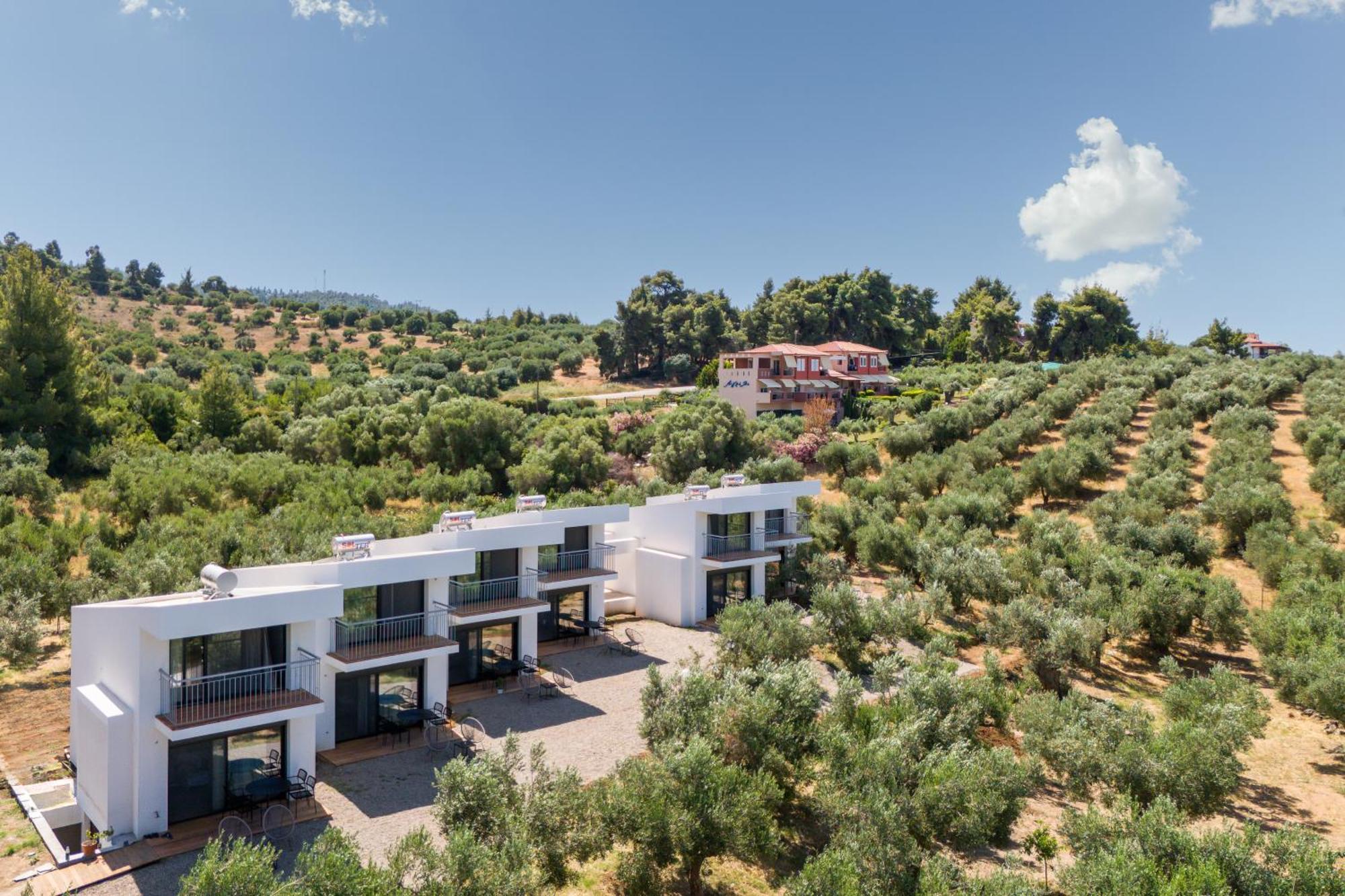 Olea Villas By Halu!, Cozy Villa In Nikiti Lagomandra Exteriér fotografie